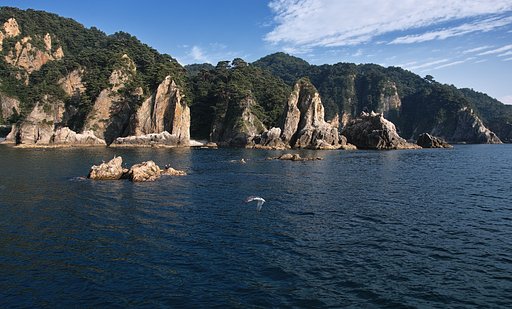 笹川流れ