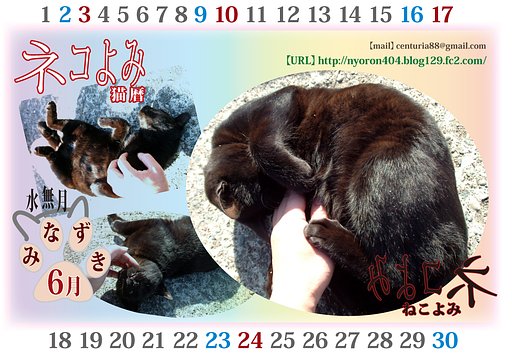 ねこよみ・・・みなずき。。。