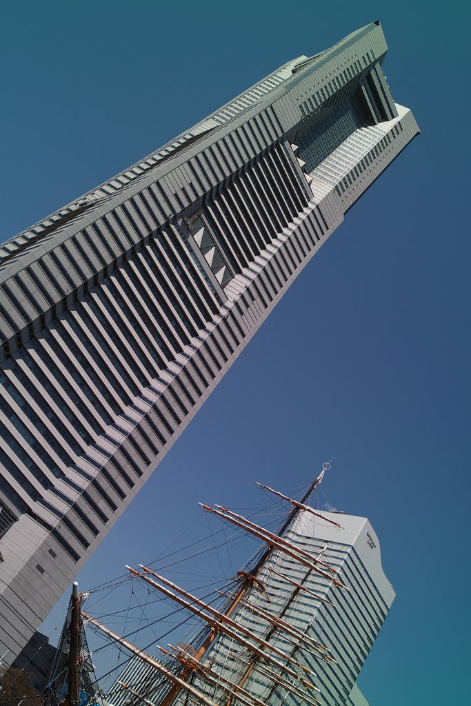 ど定番