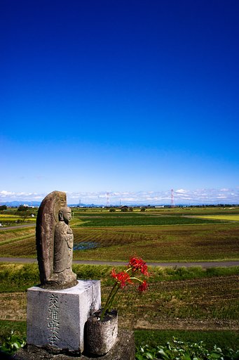 【空】お地蔵さんと彼岸花