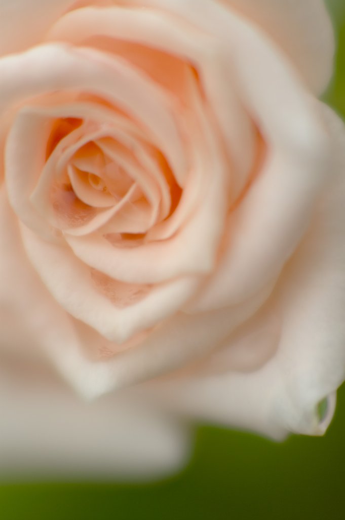 85mm F1.4 G-Limited