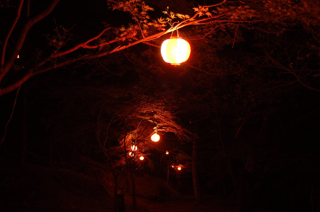 ちょうちん明り