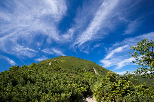 青空を求めて