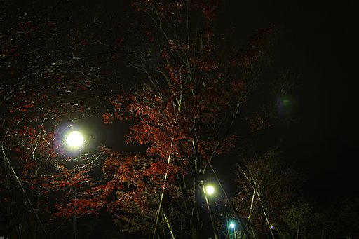 渦巻き