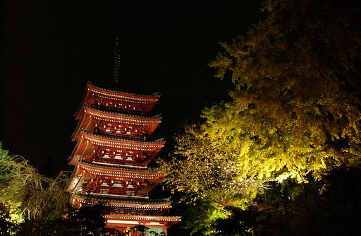 本土寺の紅葉