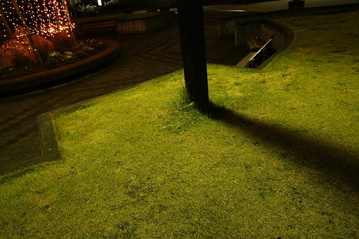 冬の陣