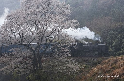 大荒れの春の日に・・