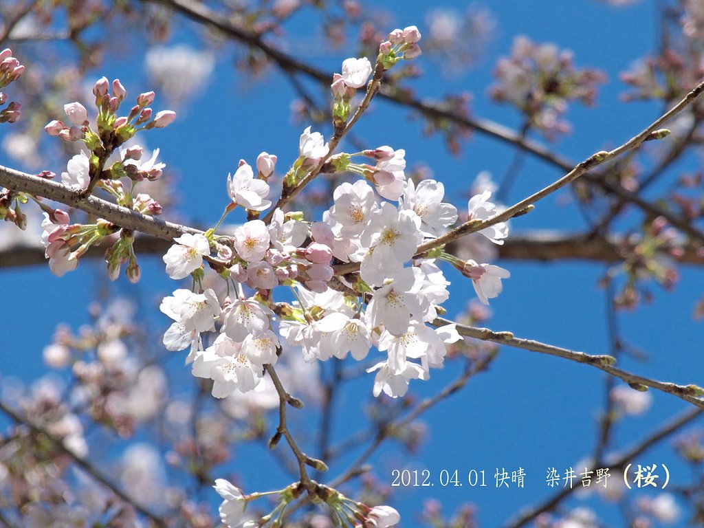 快晴だったので