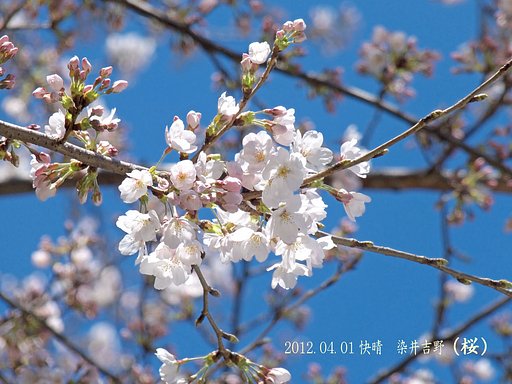 快晴だったので