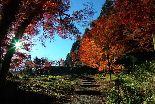 晩秋の小径を広角で