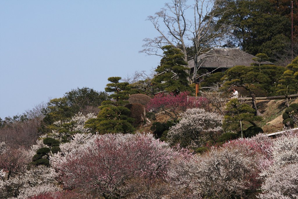 好文亭遠望