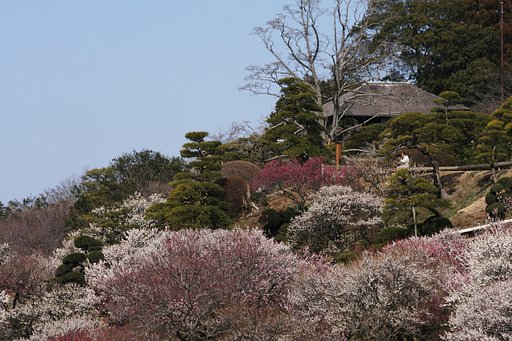 好文亭遠望