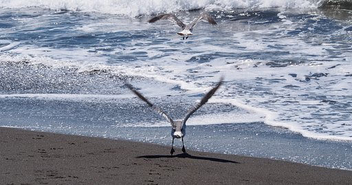 離陸
