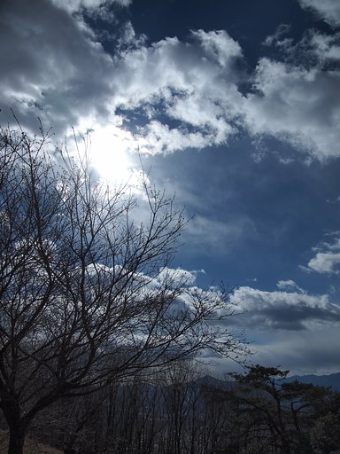 引き締まる【空】気