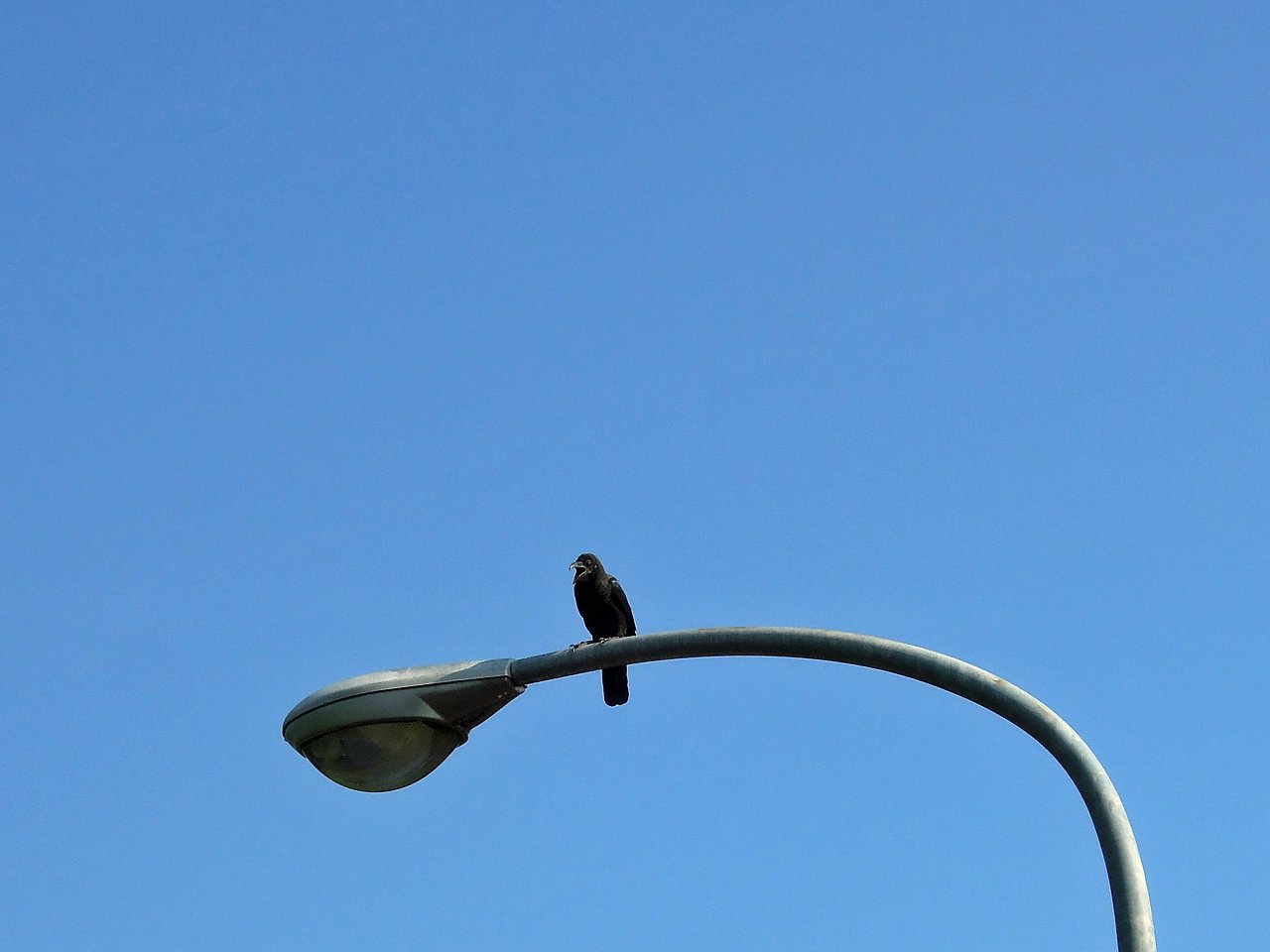 【空】であくびか？