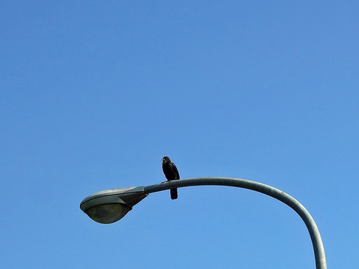 【空】であくびか？