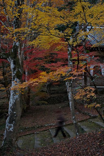陽が落ちて境内は・・