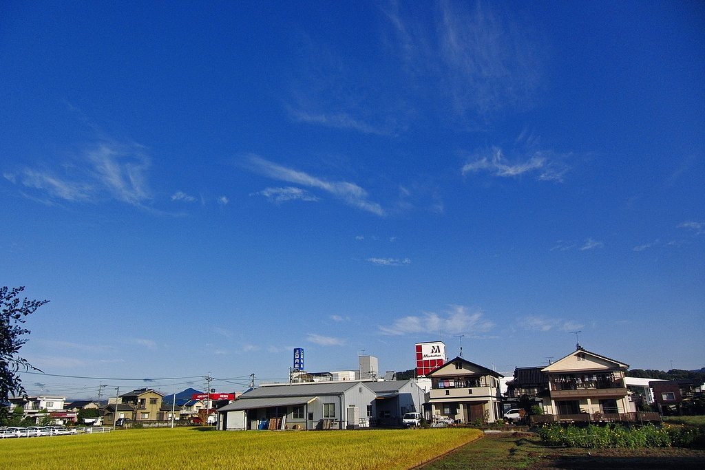 雨が上がりました