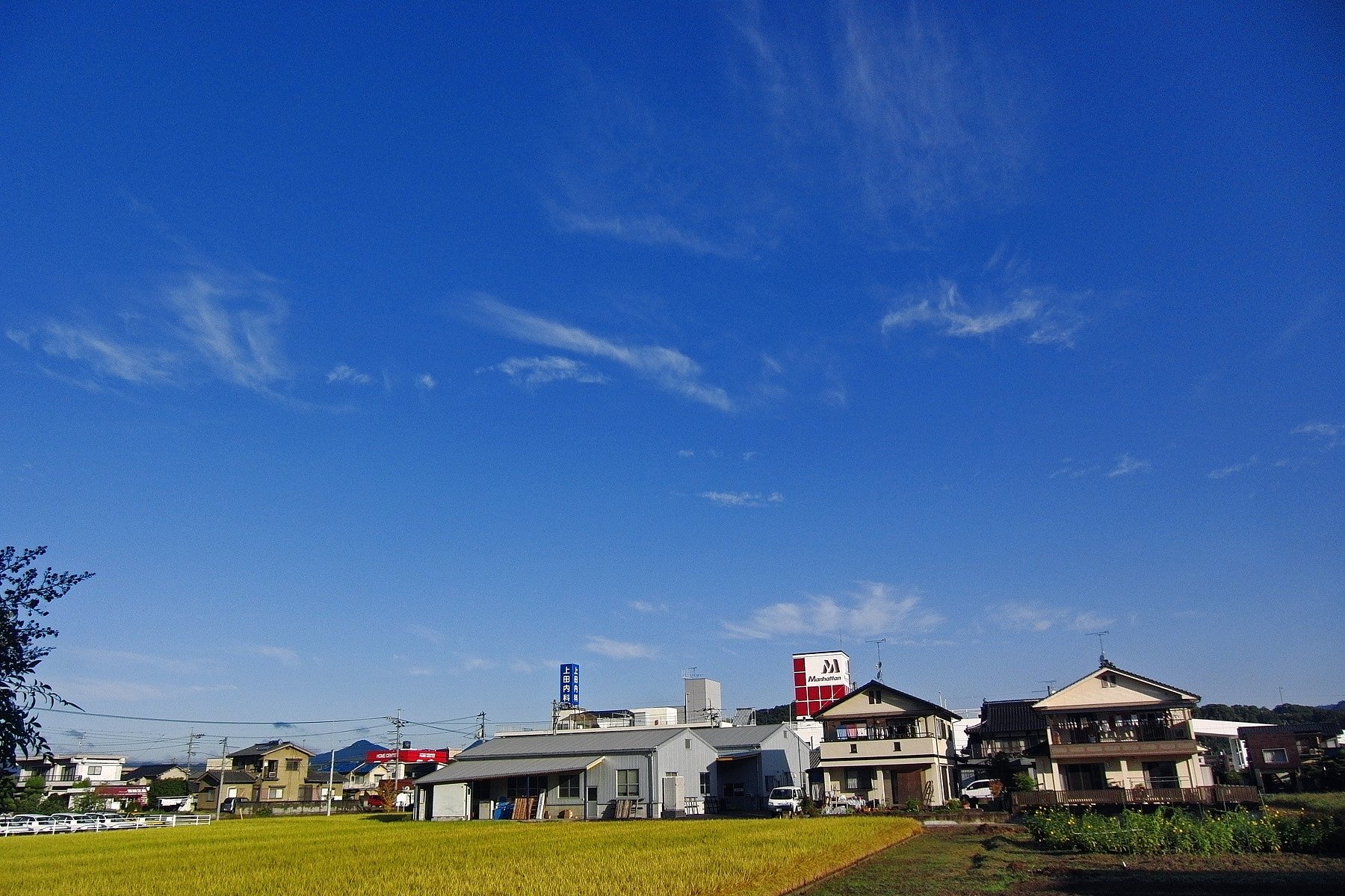 雨が上がりました