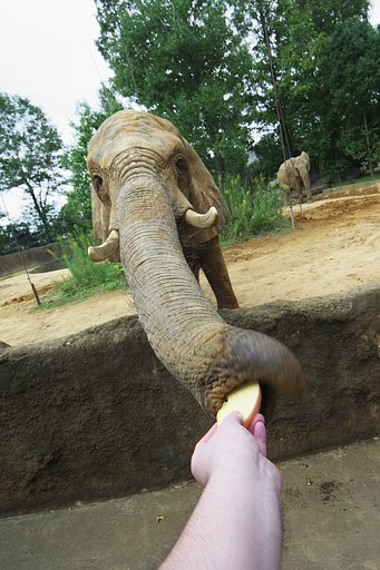 さあ　召し上がれ