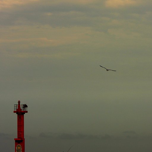 【この一曲】時の流れに〜鳥になれ/五輪真弓
