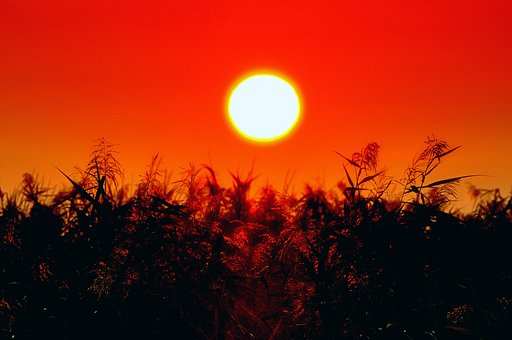 【空】に上る前に太陽を月ふうに撮ってみた...