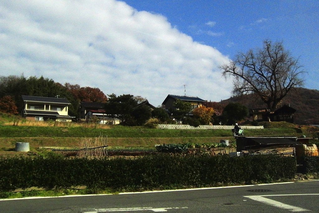 田舎道