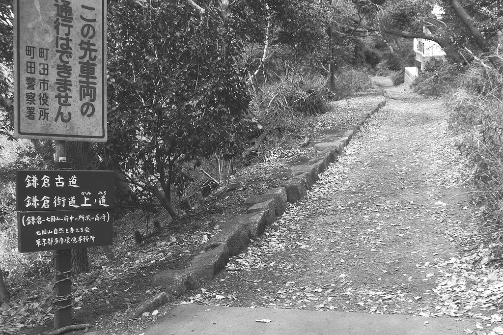 鎌倉古道