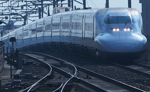 「逆光」カモノハシ