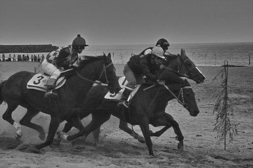 「M」 浜競馬