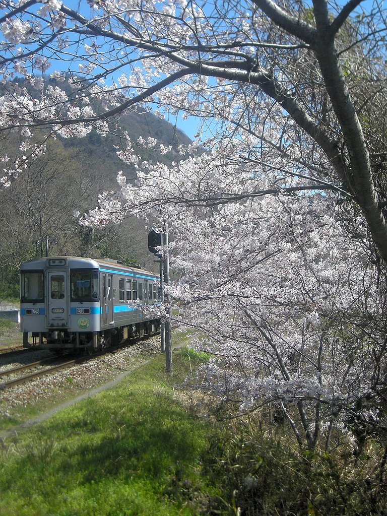のどかな一日