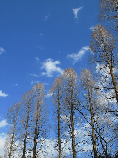 春の青空