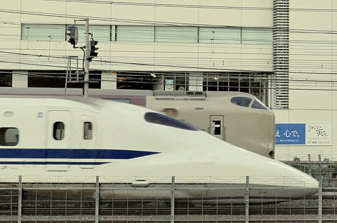 鼻の差
