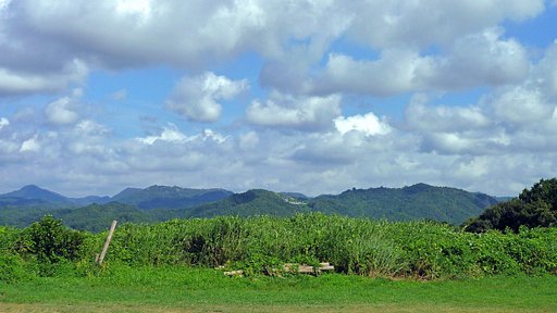【空】と山と緑と