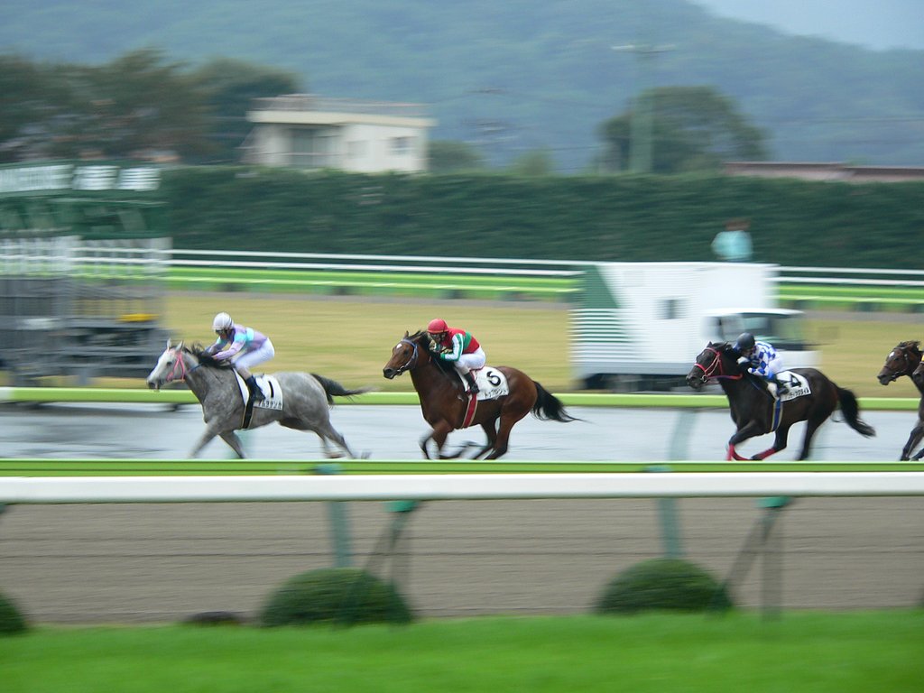 動物園に行こうか！