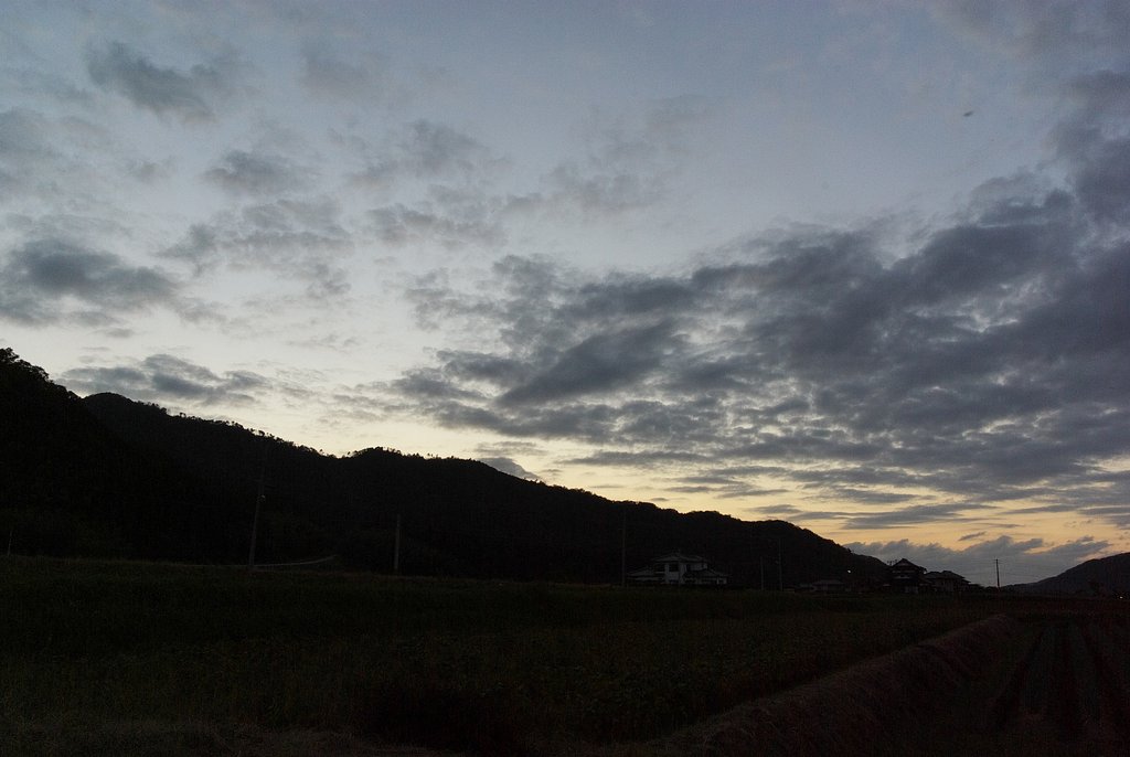 寒そうな夕空。