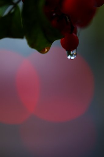 雨の土曜日