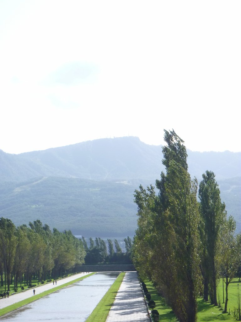 公園10