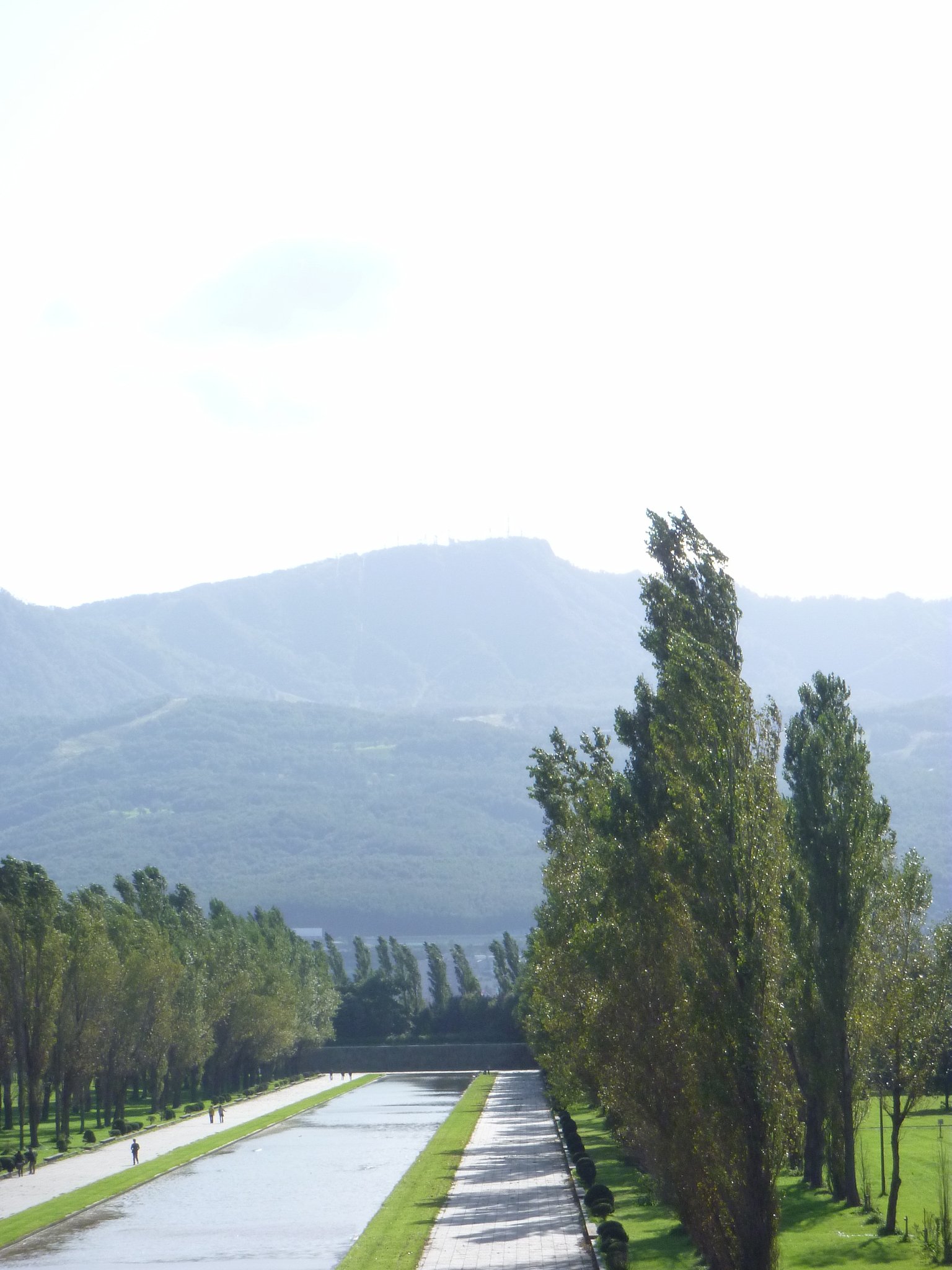 公園10