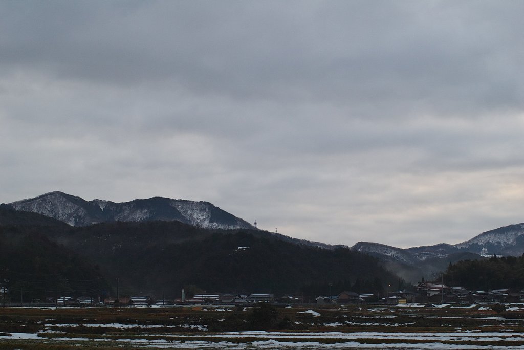 朝日のでは見られません・・