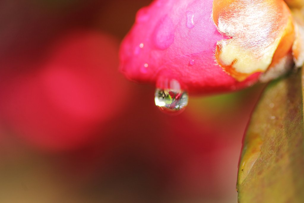 雨上がりの朝