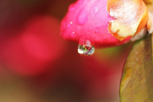 雨上がりの朝