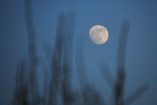 旧暦　師走１４夜の月