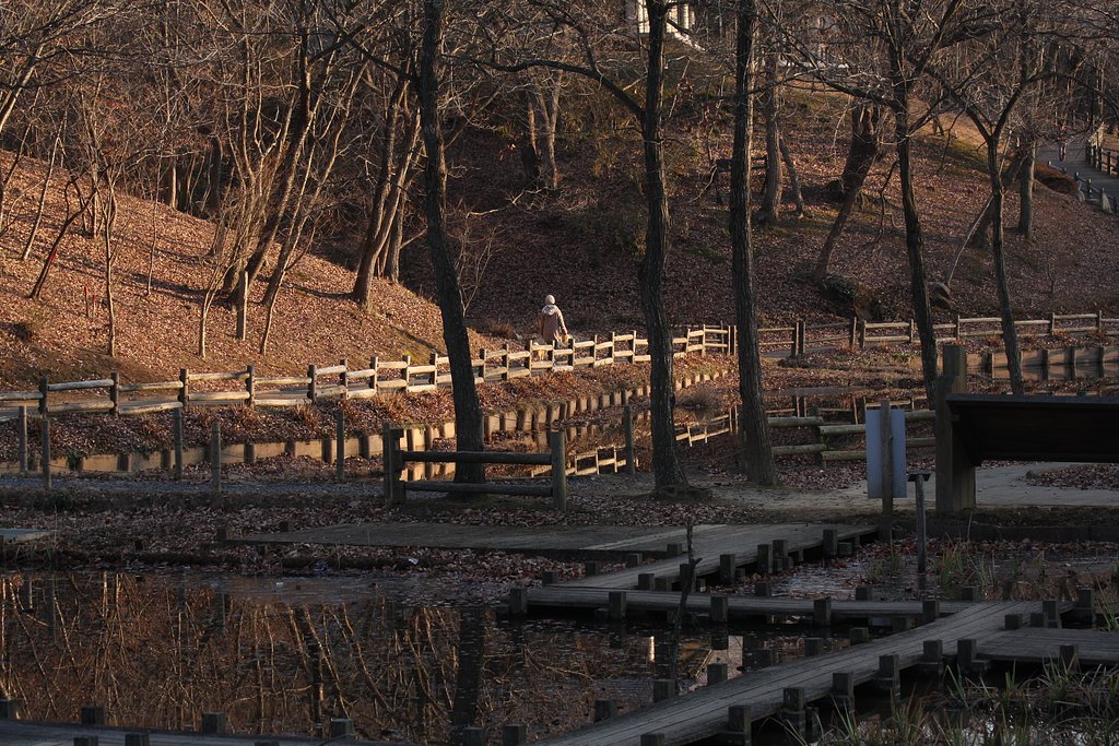 冬枯れの公園