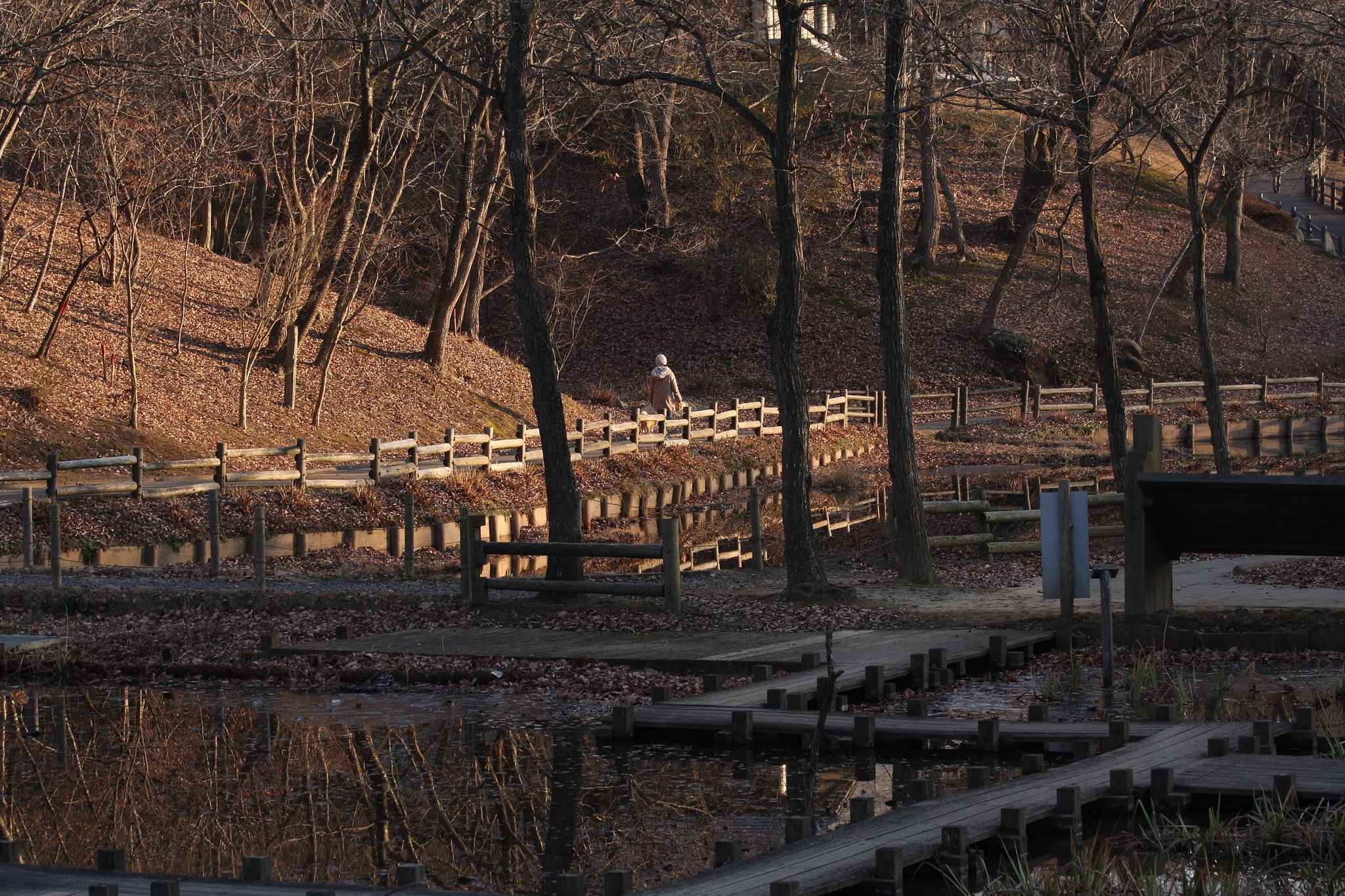 冬枯れの公園