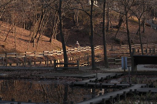 冬枯れの公園