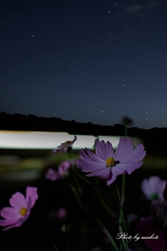 銀河鉄道の夜