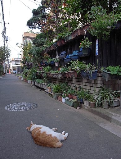 【わびさび】下町