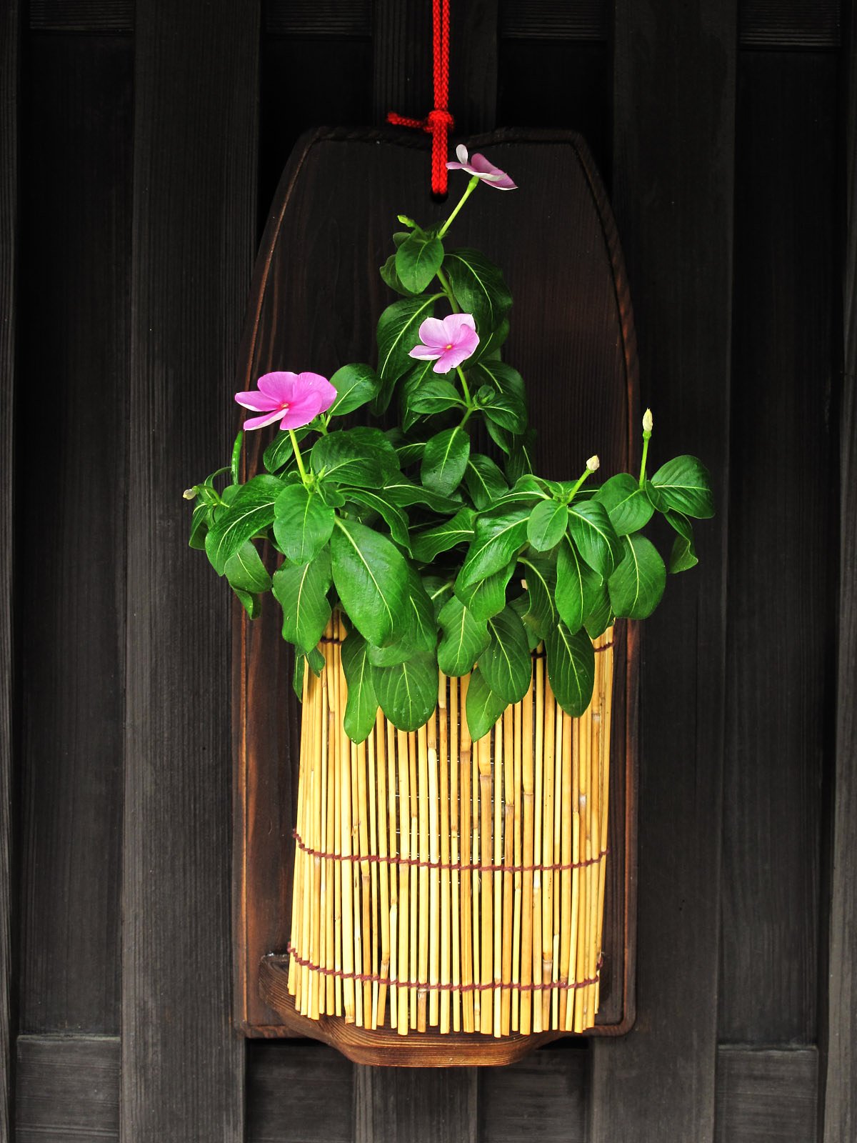 [わびさび]　花は野の花のように