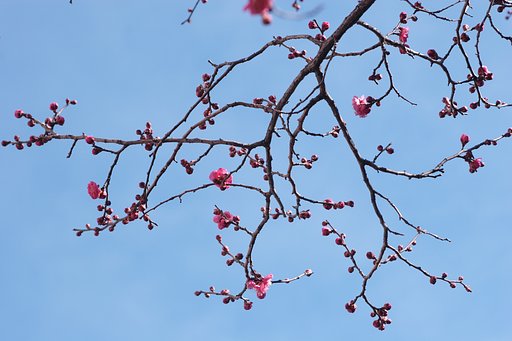 見上げてみると